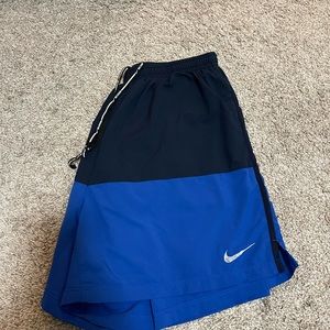 Nike Mens Dri Fit Shorts L